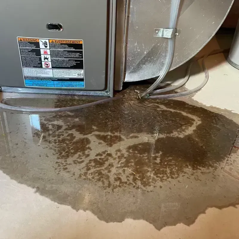 Appliance Leak Cleanup in Lavaca, AR